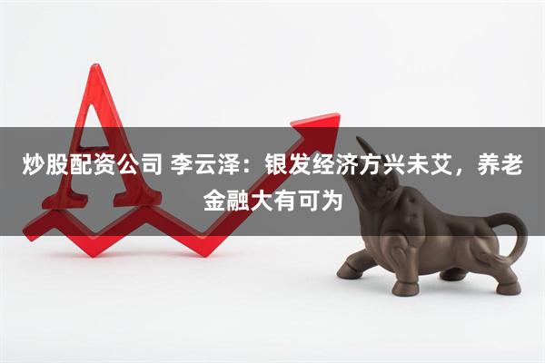 炒股配资公司 李云泽：银发经济方兴未艾，养老金融大有可为